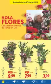 Catálogo Lidl semana 6 Página 36