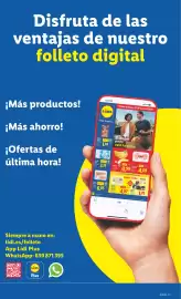 Catálogo Lidl | de Bazar Página 29