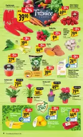 Albert leták týden 5 Strana 12