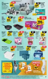 Albert leták týden 5 Strana 34