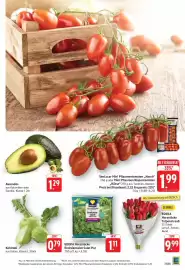 SBK Prospekt woche 5 Seite 5