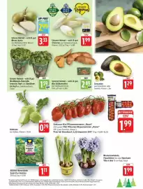 Schmidt's Märkte Prospekt woche 5 Seite 9