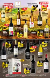 Albert leták Strana 24