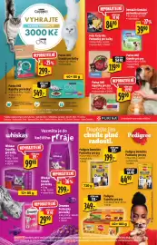 Albert leták Strana 35