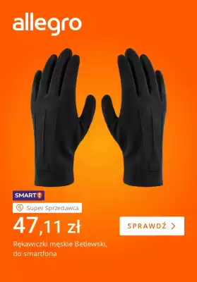 Allegro gazetka (ważność do 2-02)