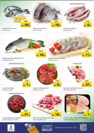 Nesto catalogue Page 7