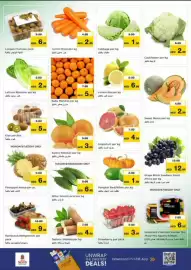 Nesto catalogue Page 8