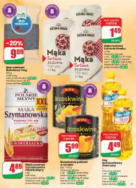 Dino gazetka tydzień 5 Strona 17