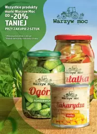 Dino gazetka tydzień 5 Strona 21