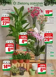 Dino gazetka tydzień 5 Strona 45