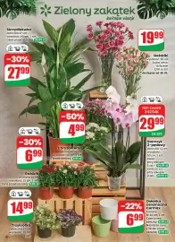 Dino gazetka tydzień 5 Strona 46