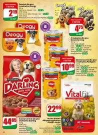 Dino gazetka tydzień 5 Strona 54