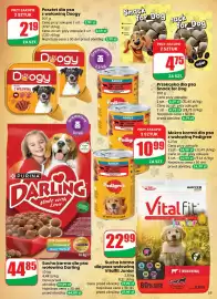 Dino gazetka tydzień 5 Strona 55