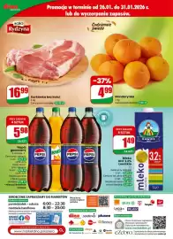 Dino gazetka tydzień 5 Strona 60