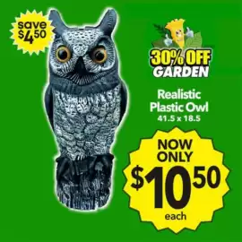 Cheap as Chips catalogue week 5 Page 15