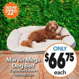 Cheap as Chips catalogue week 5 Page 20