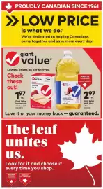 Giant Tiger flyer week 5 Page 5