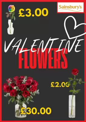 Sainsbury's leaflet (valid until 3-02)