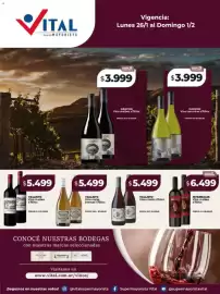 Catálogo Supermayorista Vital semana 5 Página 4