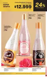 Catálogo Marketing Personal Página 27