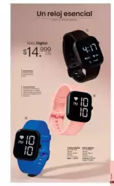 Catálogo Marketing Personal Página 61