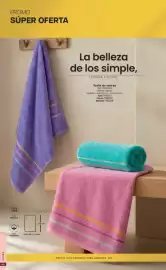 Catálogo Marketing Personal Página 63