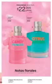 Catálogo Marketing Personal Página 65