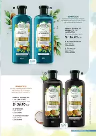 Catálogo Azzorti Página 81