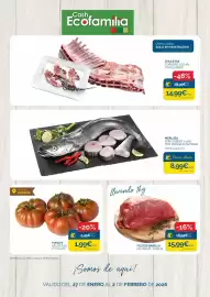Folleto Cash Ecofamilia semana 5 Página 1