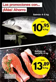 Folleto FROIZ semana 5 Página 2