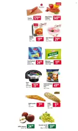 Qanto leták týden 5 Strana 3