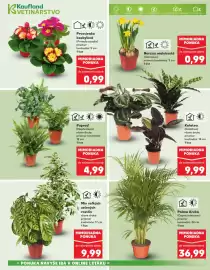 Kaufland SK akciós újság hét 5 Oldal 7