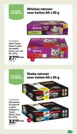 AVEVE folder Pagina 4