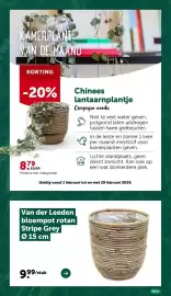 AVEVE folder Pagina 8