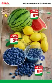 Dino gazetka tydzień 5 Strona 7