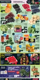 IGA flyer week 5 Page 3