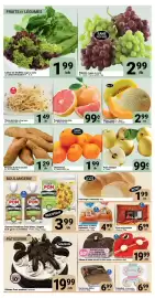 Pasquier flyer week 5 Page 2