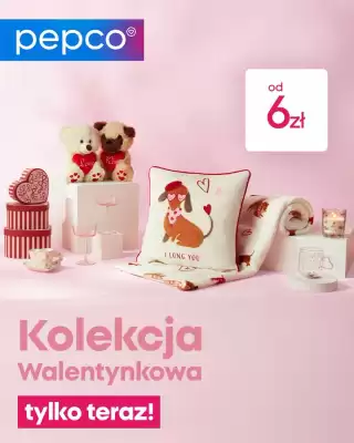 Pepco gazetka (ważność do 2-02)
