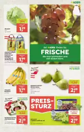 ADEG Flugblatt woche 6 Seite 3