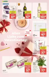 ADEG Flugblatt woche 6 Seite 6