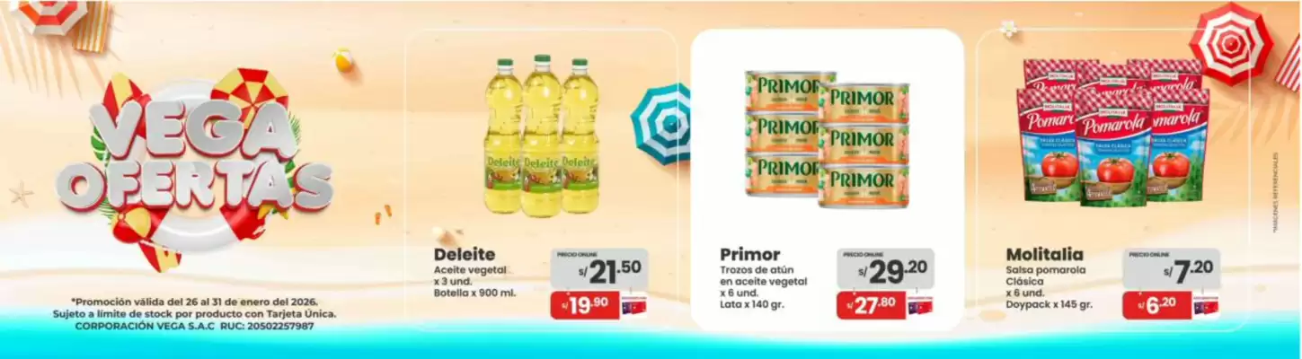 Catálogo Vega (válido hasta 31-01)