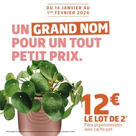 Catalogue Jardiland semaine 5 page 4