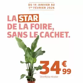 Catalogue Jardiland semaine 5 page 3