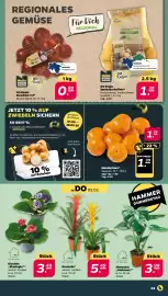 NETTO Prospekt woche 6 Seite 3