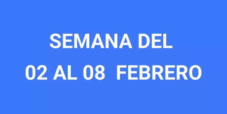 Catálogo Wong (válido hasta 8-02)