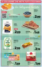 Volantino Ipercoop Radenza Pagina 10