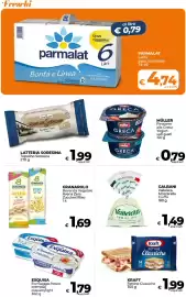 Volantino Ipercoop Radenza Pagina 13