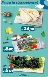 Volantino Ipercoop Radenza Pagina 23