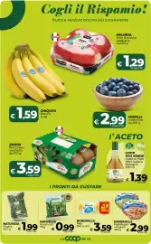 Volantino Ipercoop Radenza Pagina 25