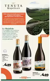 Volantino Ipercoop Radenza Pagina 37